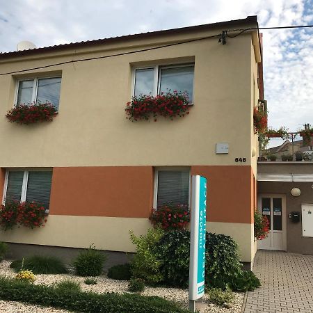 Apartment Corriger Ústí nad Orlicí エクステリア 写真